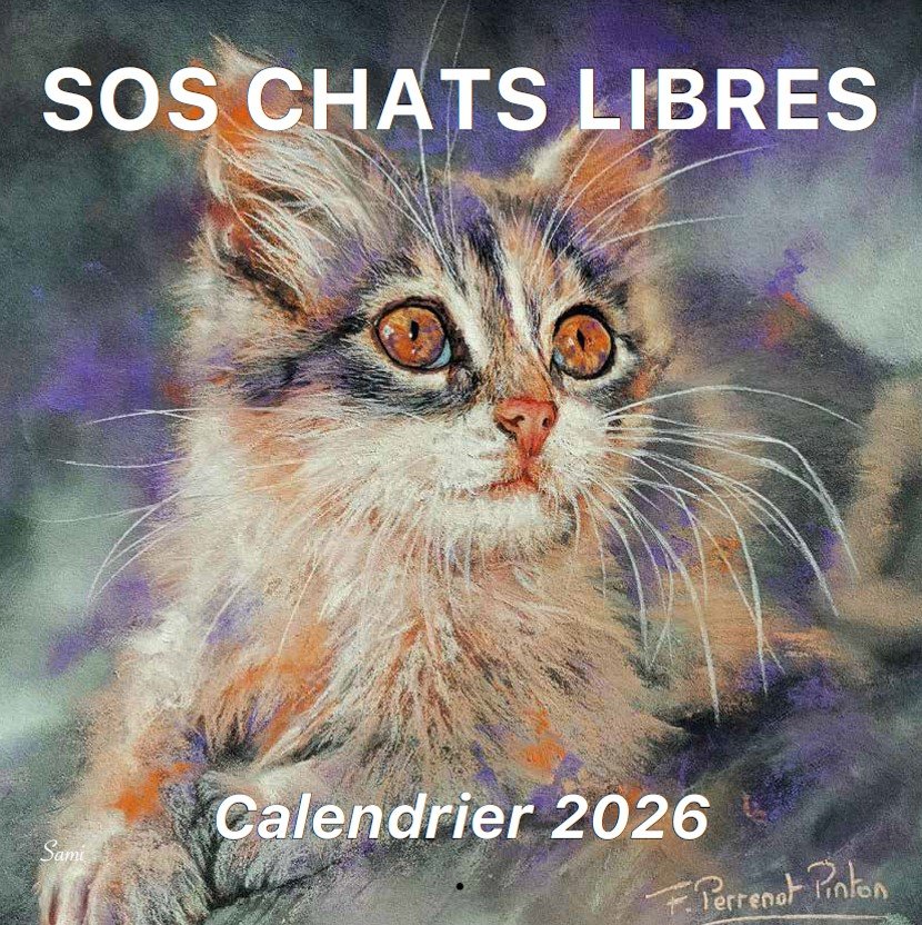 Calendrier 2026 - CAL 2026