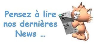 NEWSLETTER - DIAPO