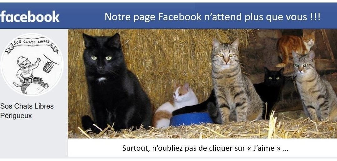 Notre page Facebook n'attend plus que vous !