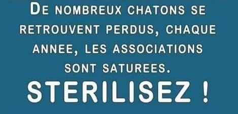 Affiche - Stérilisez !
